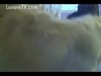 Amateur Married slut in hardcore brute sex